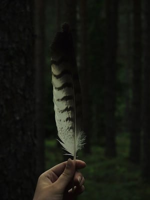 Feather