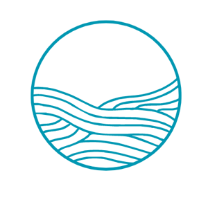 CT Logo ONLY-Apr-13-2025-03-28-37-8766-AM