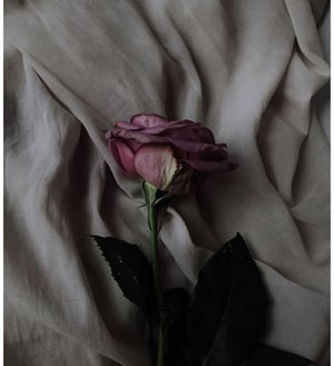 IMG_0228